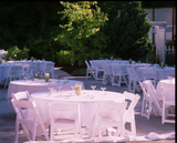 Chair, Formal White with Padded Seat.