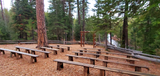 Bench, Mountainside Wood