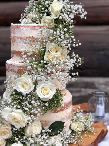 Dessert Rustic Cake or Pie display