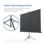 Projector Screen With Stand